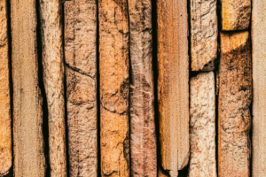 260304 Blog Bois exotique freepik