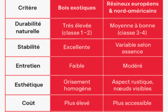 260304 Blog Bois exotique vs bois resineux