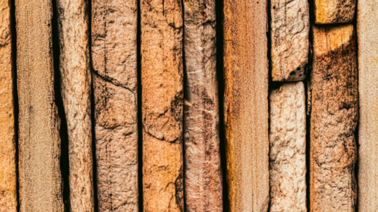 260304 Blog Bois exotique freepik