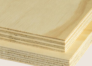 Radiata Pine 02