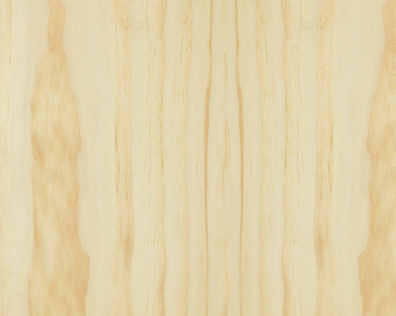 Radiata Pine 01