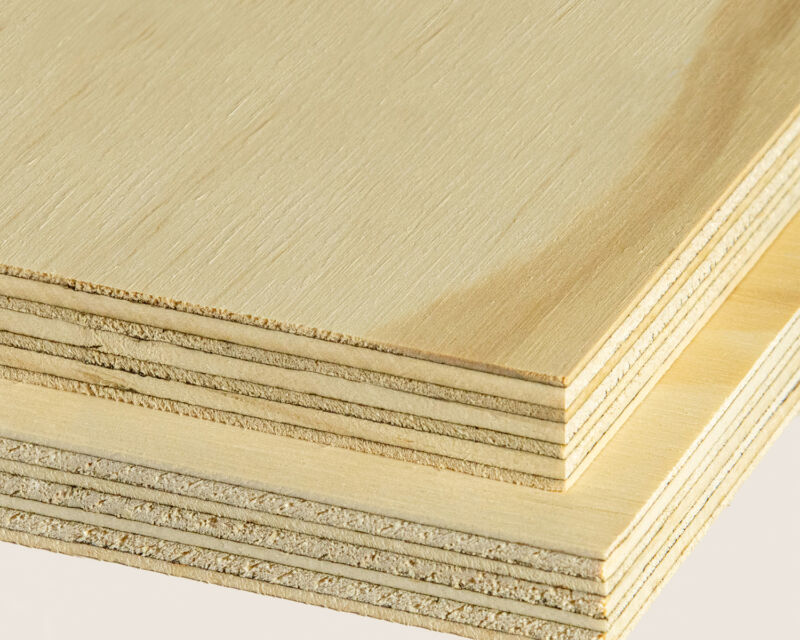 Radiata Pine 02