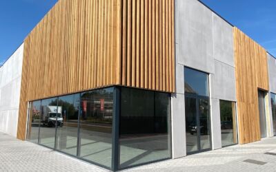 Thermo Wood Ayous 07