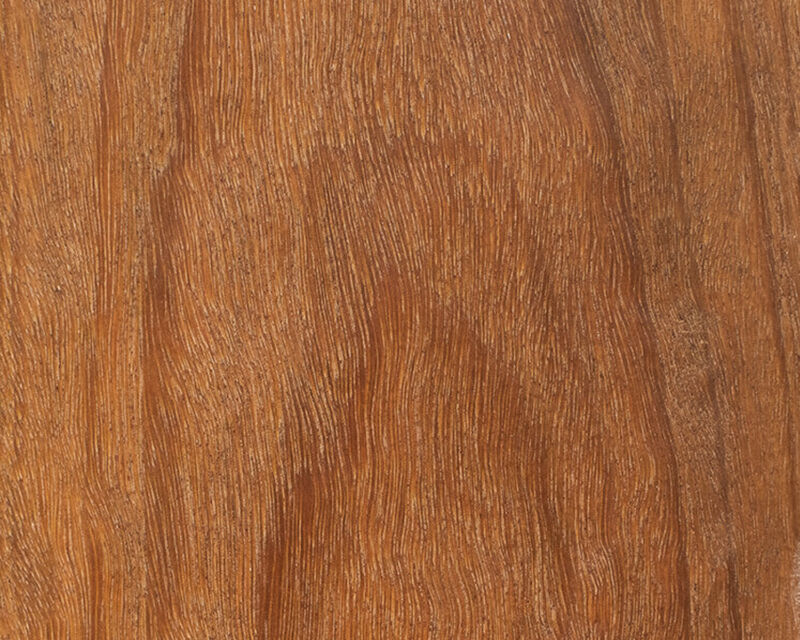 Camaru 01