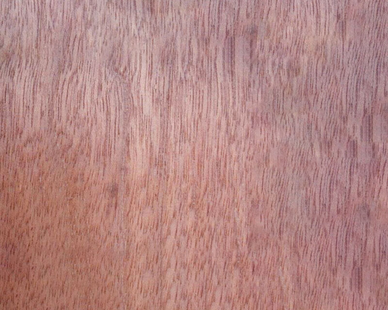 Nemesu 01