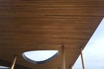 Thermo Wood Ayous 09