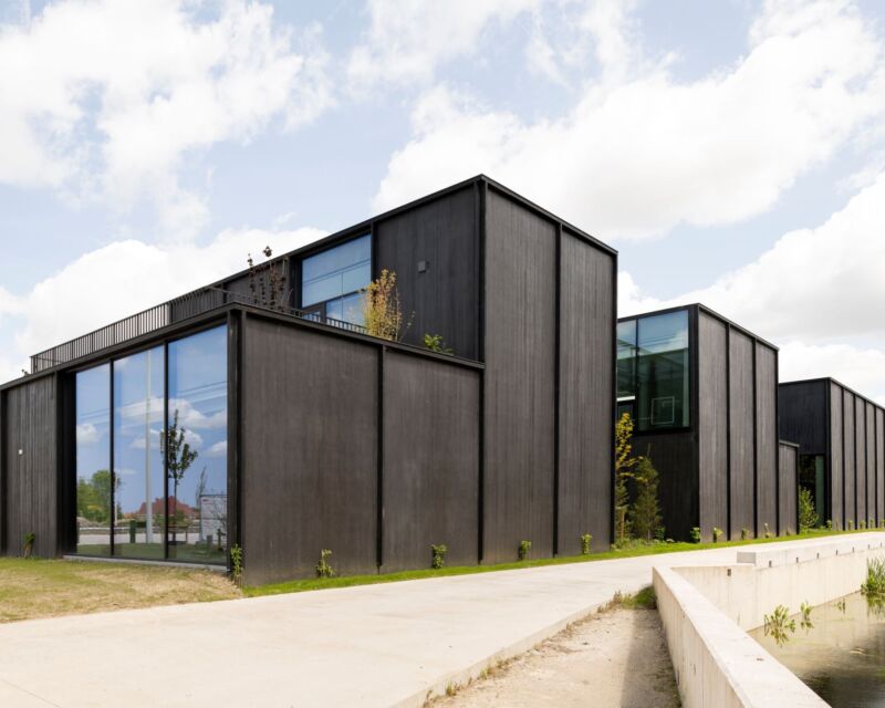 Thermo Wood Fraké 04